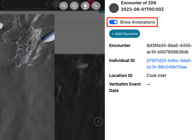 Screenshot 2026-08-27 at 4.58.44 PM