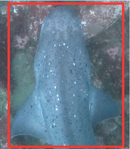 Screenshot 2026-03-30 at 12.47.18 PM