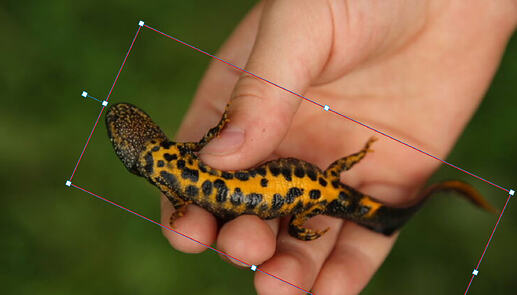 Screenshot 2025-12-05 at 12.03.13 PM