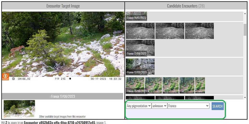 Compare a photo with selected individuals - Feature Requests - Wild Me ...