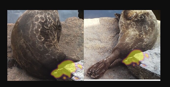 Näyttökuva 2025-10-30 150628