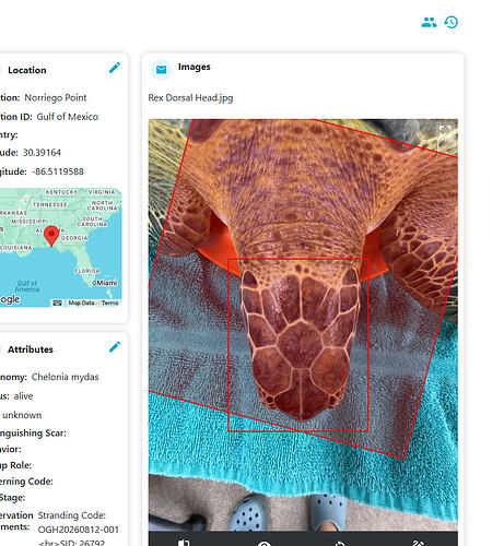 auto annotations are too big and cant delet