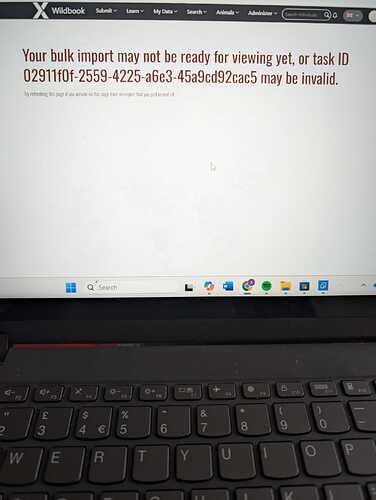 WhatsApp Image 2025-08-28 at 11.12.33_e0bed0e4