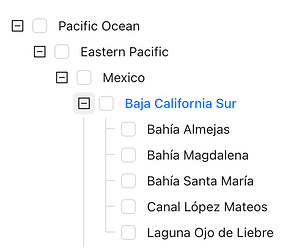 Screenshot 2026-02-02 at 3.09.15 PM