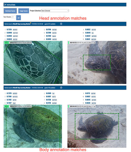 Screenshot 2026-02-05 at 3.40.24 PM