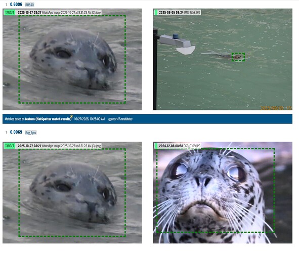 Screenshot 2025-10-27 at 10.29.23 AM