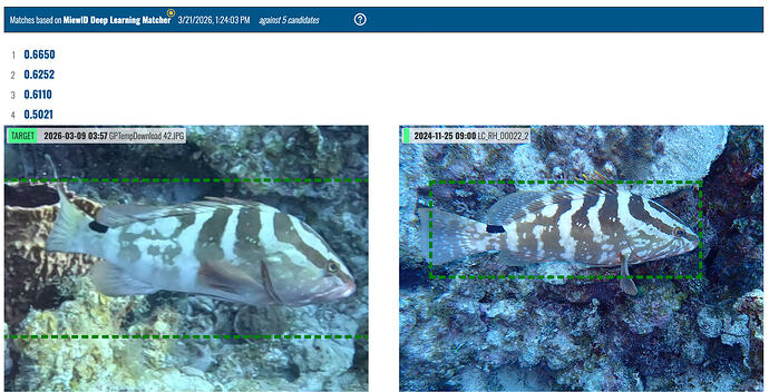 Screenshot 2026-06-17 at 11.32.46 AM