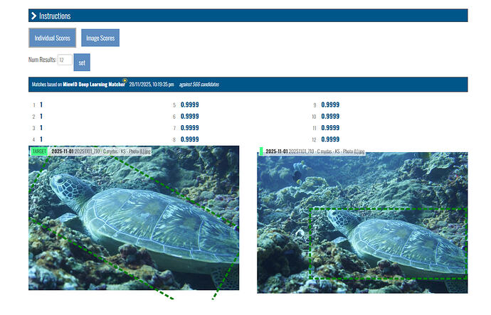 Screenshot 2025-12-05 135510