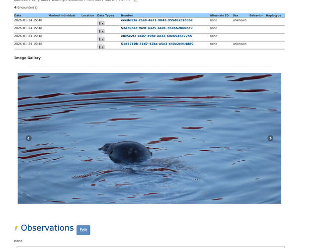 Screenshot 2026-03-16 at 12.23.25 PM