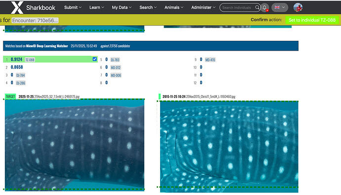 Screenshot 2025-11-25 at 15.55.51