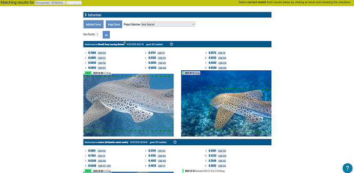 Screenshot 2026-02-18 at 13.09.00