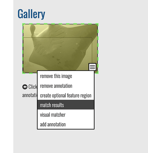 Screenshot 2025-06-27 at 12.29.37