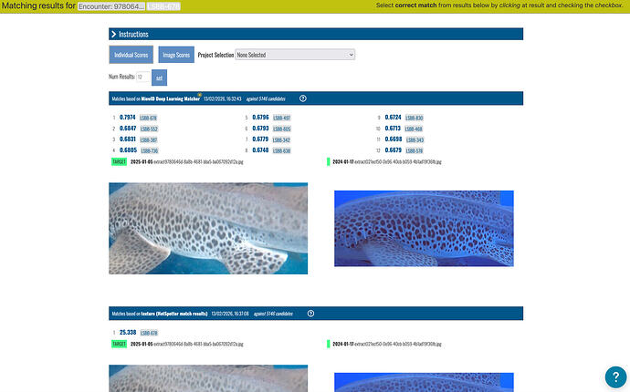 Screenshot 2026-02-18 at 13.12.29