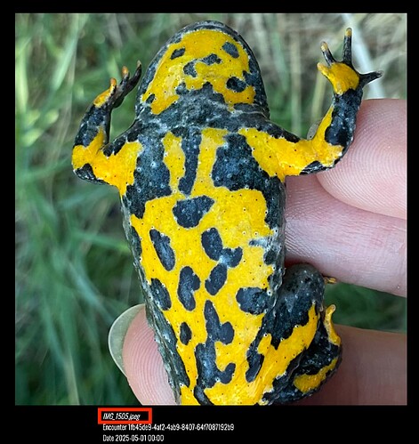 Screenshot 2025-10-31 at 9.38.38 AM