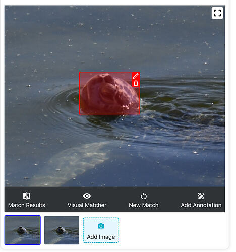 Screenshot 2026-06-22 at 11.05.56 AM
