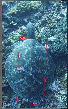 Screenshot 2026-02-05 at 9.49.44 AM