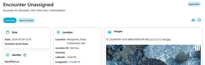 Screenshot 2026-02-05 103441