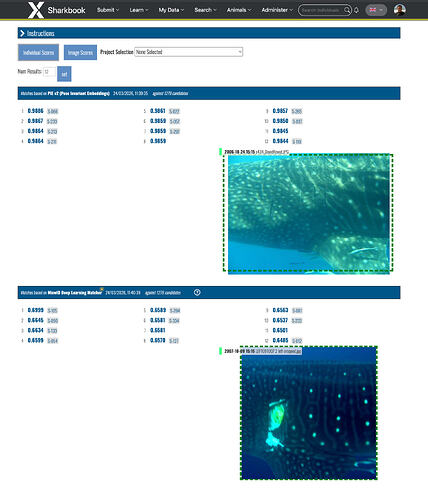Screenshot 2026-03-24 at 4.19.37 PM