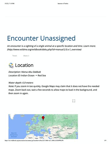Screenshot-Internet of Turtles- NA encounter