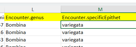 spreadsheet