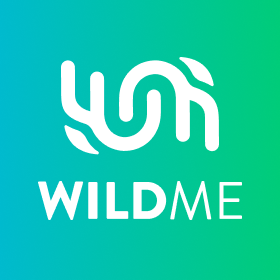 JasonWildMe