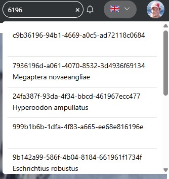 hash search